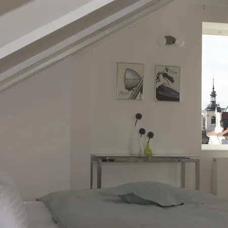 Apartment Karlova *